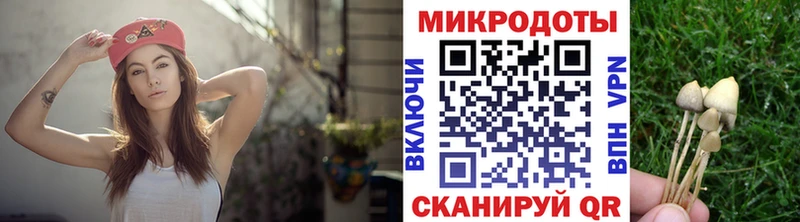 Галлюциногенные грибы прущие грибы  Купить  Туран 